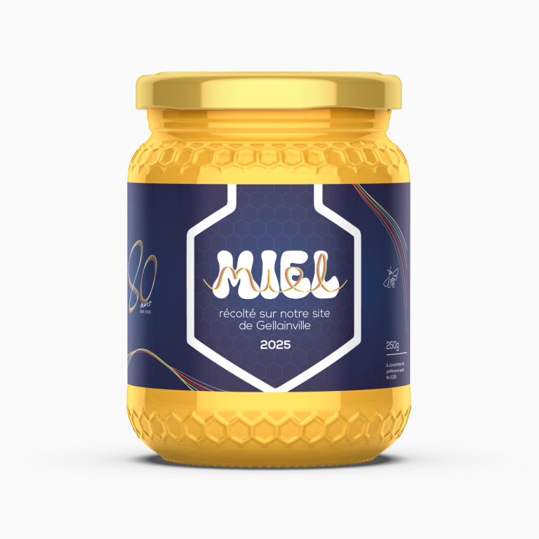 Récolte de miel 2025